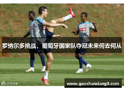 罗纳尔多挑战，葡萄牙国家队夺冠未来何去何从